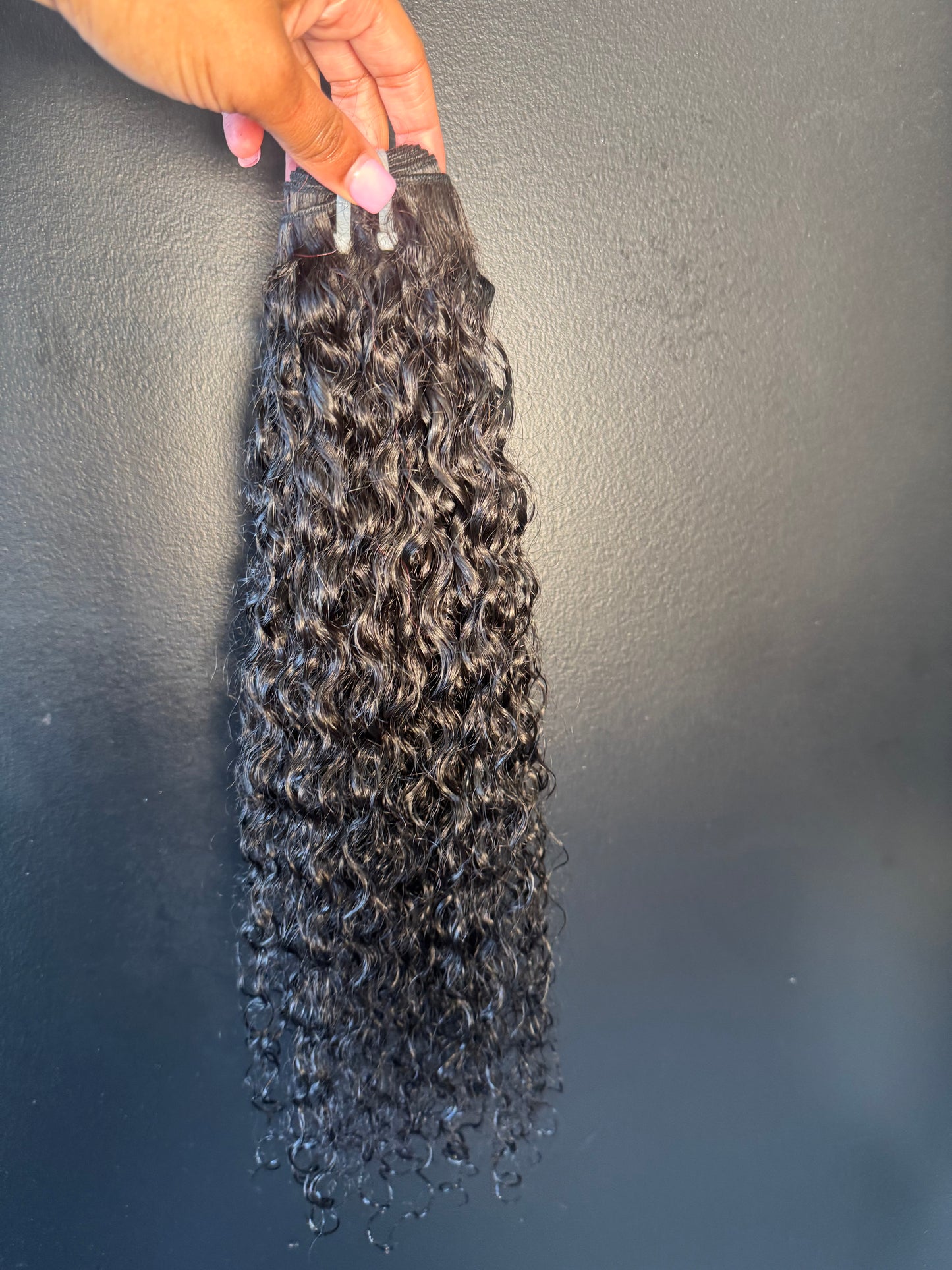 Burmese curly
