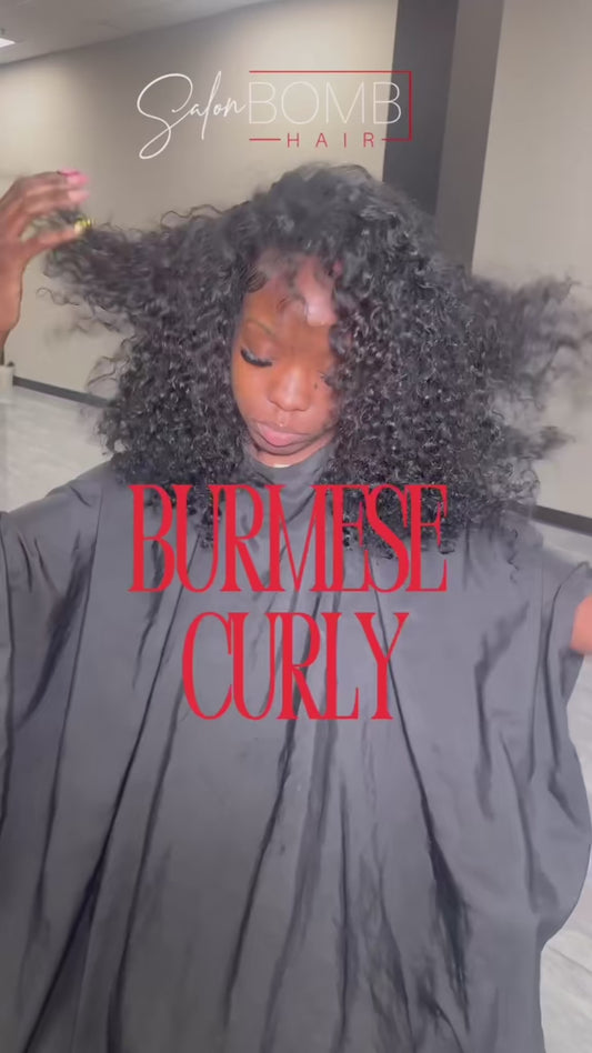 Burmese curly